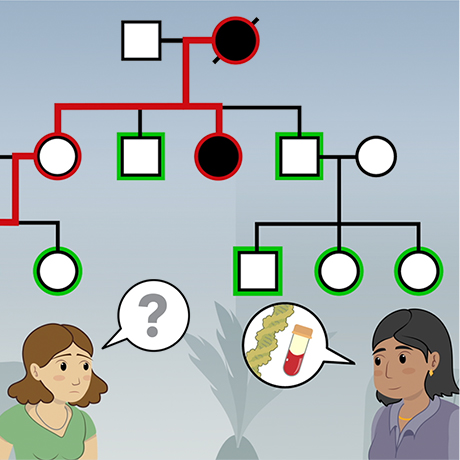 Family Genetics Vital For Understanding >> Hmx Genetics Hmx Harvard Medical School Family Genetics Vital For Understanding >> Hmx Genetics Hmx Harvard Medical School