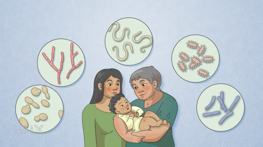 harvard.edu - Viruses and Vaccines - HMX | Harvard Medical School